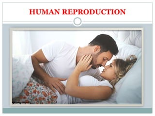 HUMAN REPRODUCTION
 