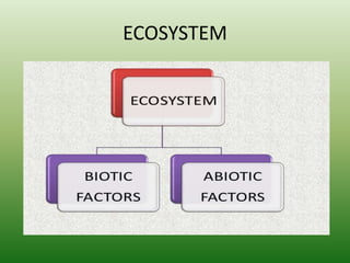 ECOSYSTEM
 