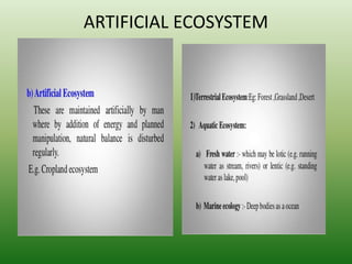 ARTIFICIAL ECOSYSTEM
 
