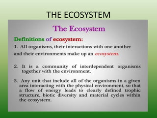THE ECOSYSTEM
 