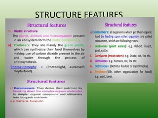 STRUCTURE FEATURES
 
