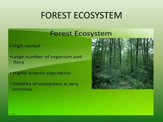 FOREST ECOSYSTEM
 