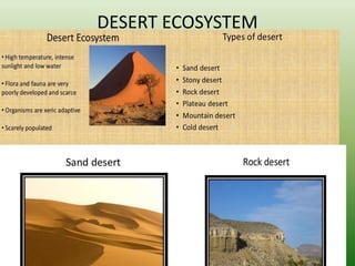 DESERT ECOSYSTEM
 