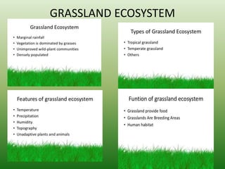GRASSLAND ECOSYSTEM
 