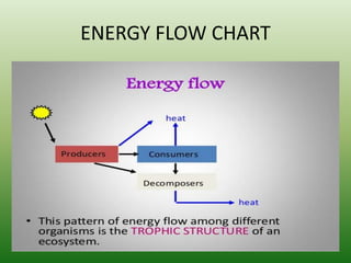 ENERGY FLOW CHART
 