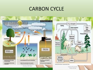 CARBON CYCLE
 
