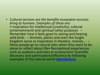 • Cultural services are the benefits ecosystem services
bring to humans. Examples of these are:
• Inspiration for intellectual (creativity), cultural
(entertainment) and spiritual (why) purposes –
Remember how it feels good to seeing and hearing
wild birds – Animals, plants and even the funghi
kingdom serve as inspiration in theaters, movies… –
Many people go to natural sites when they want to be
alone or reflect about life• Recreational experiences
such as outdoors activities or ecotourism• Scientific
discovery and optimization/efficiency by following
examples of the natural world (biomimicry)
 