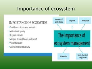 Importance of ecosystem
 