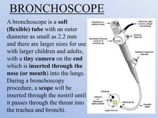 BRONCHOSCOPE
A bronchoscope is a soft
(flexible) tube with an outer
diameter as small as 2.2 mm
and there are larger sizes for use
with larger children and adults,
with a tiny camera on the end
which is inserted through the
nose (or mouth) into the lungs.
During a bronchoscopy
procedure, a scope will be
inserted through the nostril until
it passes through the throat into
the trachea and bronchi.
 