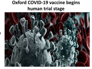 Oxford COVID-19 vaccine begins
human trial stage
d
 