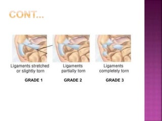GRADE 1 GRADE 2 GRADE 3
 