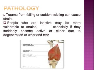 Trauma from falling or sudden twisting can cause
strain.
 People who are inactive may be more
vulnerable to strains, especially if they
suddenly become active or either due to
degeneration or wear and tear.
 