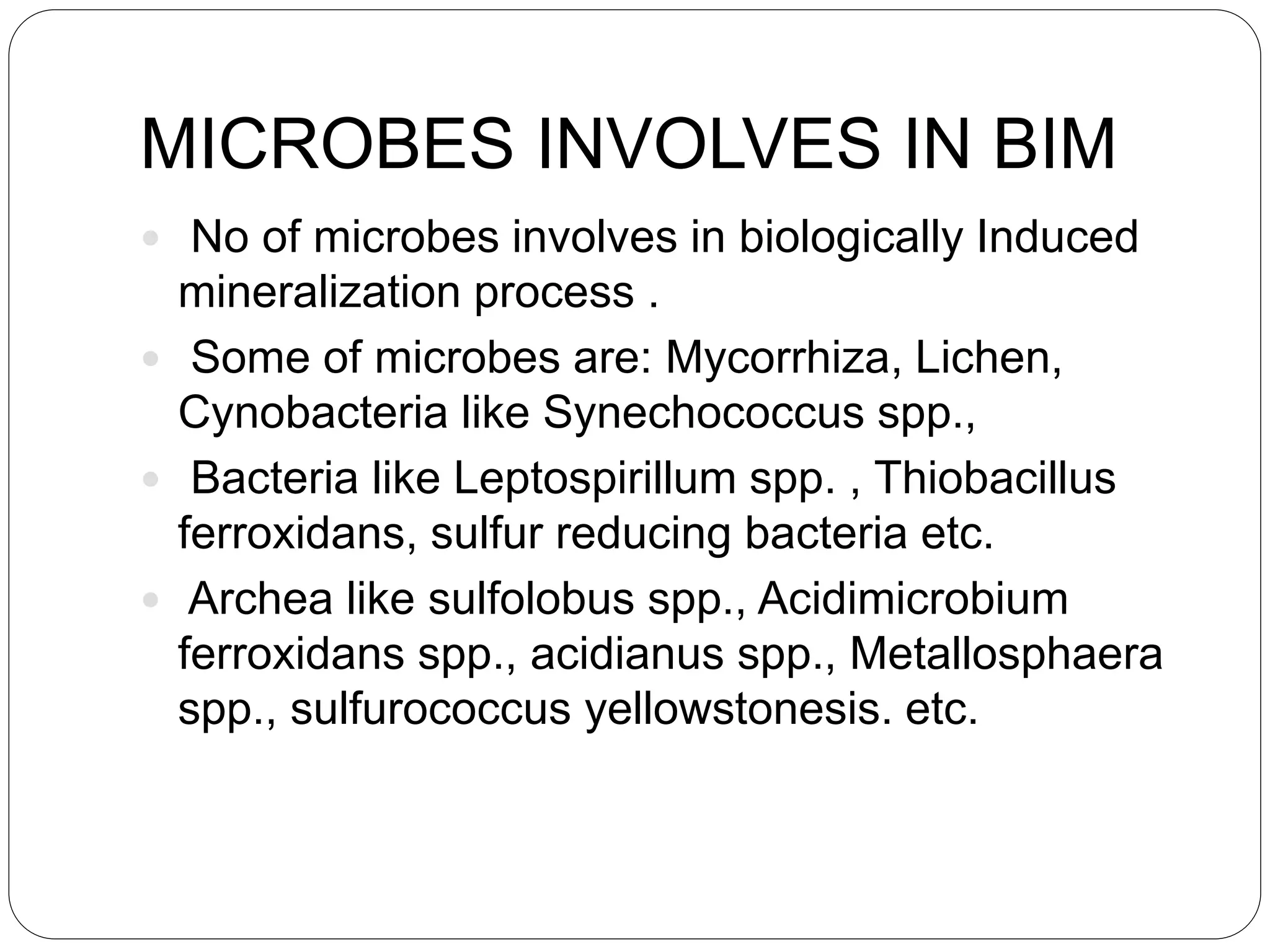 MICROBES INVOLVES IN BIM
 No of microbes involves in biologically Induced
mineralization process .
 Some of microbes are: Mycorrhiza, Lichen,
Cynobacteria like Synechococcus spp.,
 Bacteria like Leptospirillum spp. , Thiobacillus
ferroxidans, sulfur reducing bacteria etc.
 Archea like sulfolobus spp., Acidimicrobium
ferroxidans spp., acidianus spp., Metallosphaera
spp., sulfurococcus yellowstonesis. etc.
 