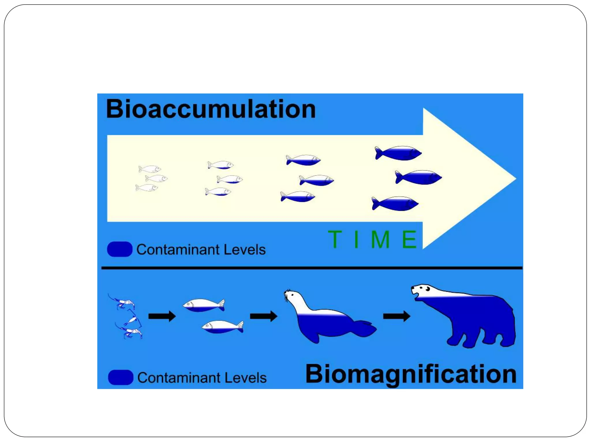 ENRICHMENT OF ORES BY MICROORGANISMS- Bioaccumulation and biomineralization