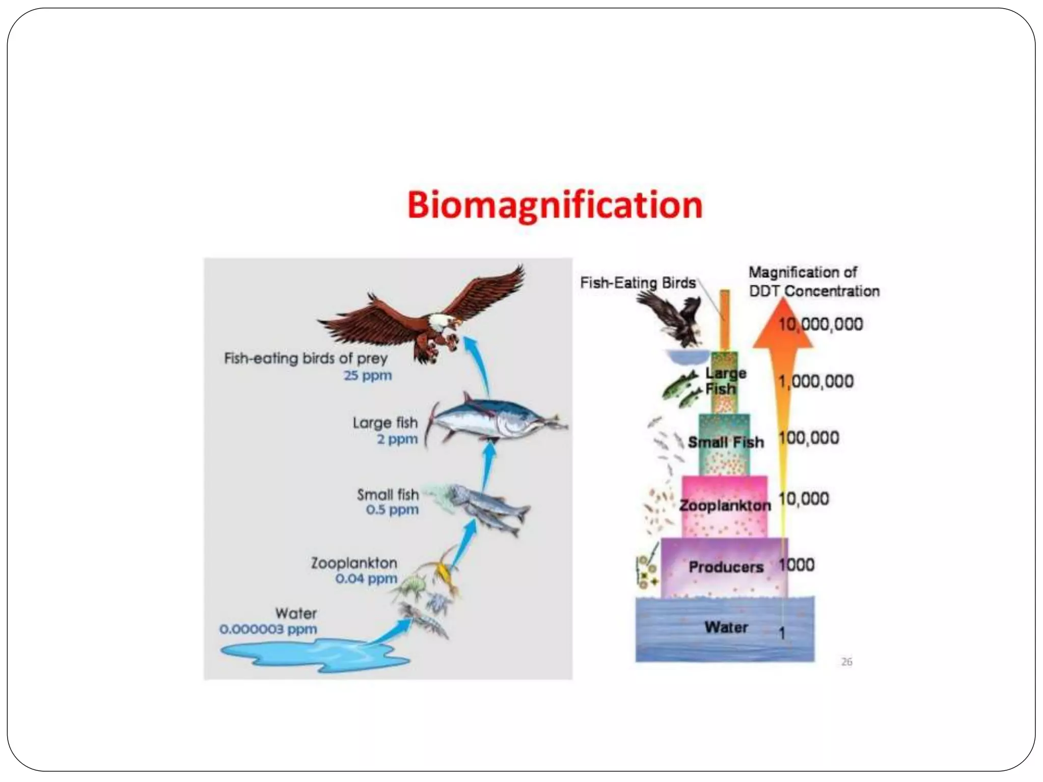 ENRICHMENT OF ORES BY MICROORGANISMS- Bioaccumulation and biomineralization