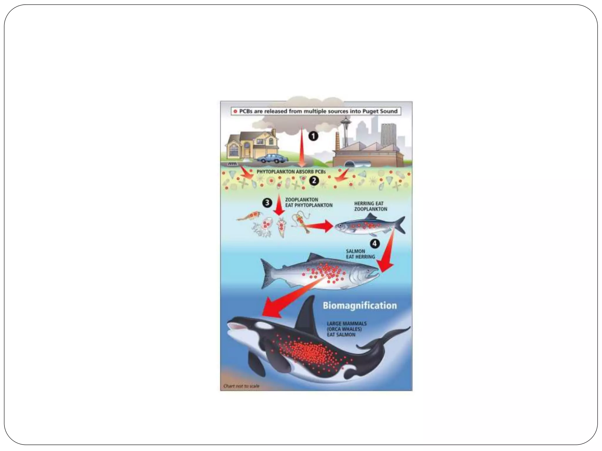 ENRICHMENT OF ORES BY MICROORGANISMS- Bioaccumulation and biomineralization