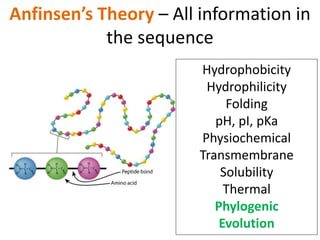 Hydrophobicity
Hydrophilicity
Folding
pH, pI, pKa
Physiochemical
Transmembrane
Solubility
Thermal
Phylogenic
Evolution
Anfinsen’s Theory – All information in
the sequence
 
