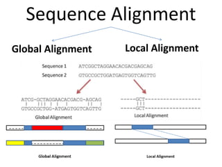 Sequence Alignment
Global Alignment Local Alignment
 
