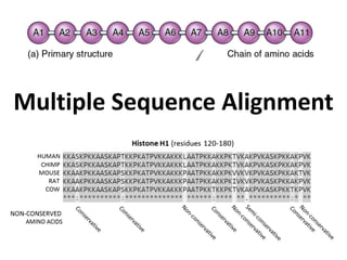Multiple Sequence Alignment
 