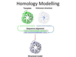 Homology Modelling
 
