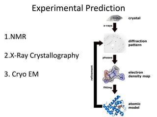 Experimental Prediction
1.NMR
2.X-Ray Crystallography
3. Cryo EM
 