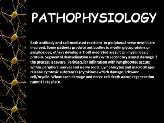 PATHOPHYSIOLOGY
Both antibody and cell-mediated reactions to peripheral nerve myelin are
involved. Some patients produce antibodies to myelin glycoproteins or
gangliosides, others develop a T cell mediated assault on myelin basic
protein. Segmental demyelination results with secondary axonal damage if
the process is severe. Perivascular infiltration with lymphocytes occurs
within peripheral nerves and nerve roots. Lymphocytes and macrophages
release cytotoxic substances (cytokines) which damage Schwann
cell/myelin. When axon damage and nerve cell death occur, regeneration
cannot take place.
 