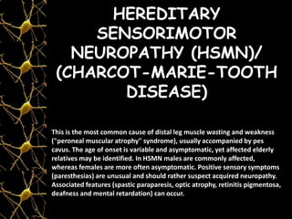 HEREDITARY
SENSORIMOTOR
NEUROPATHY (HSMN)/
(CHARCOT-MARIE-TOOTH
DISEASE)
This is the most common cause of distal leg muscle wasting and weakness
("peroneal muscular atrophy" syndrome), usually accompanied by pes
cavus. The age of onset is variable and asymptomatic, yet affected elderly
relatives may be identified. In HSMN males are commonly affected,
whereas females are more often asymptomatic. Positive sensory symptoms
(paresthesias) are unusual and should rather suspect acquired neuropathy.
Associated features (spastic paraparesis, optic atrophy, retinitis pigmentosa,
deafness and mental retardation) can occur.
 