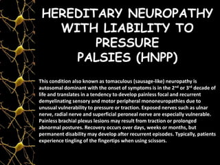 HEREDITARY NEUROPATHY
WITH LIABILITY TO
PRESSURE
PALSIES (HNPP)
This condition also known as tomaculous (sausage-like) neuropathy is
autosomal dominant with the onset of symptoms is in the 2nd or 3rd decade of
life and translates in a tendency to develop painless focal and recurrent
demyelinating sensory and motor peripheral mononeuropathies due to
unusual vulnerability to pressure or traction. Exposed nerves such as ulnar
nerve, radial nerve and superficial peroneal nerve are especially vulnerable.
Painless brachial plexus lesions may result from traction or prolonged
abnormal postures. Recovery occurs over days, weeks or months, but
permanent disability may develop after recurrent episodes. Typically, patients
experience tingling of the fingertips when using scissors.
 