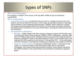 Snps Definition using molecular marker technology in studying genetic diversity | PPTX