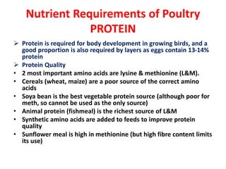 Nutrient Requirements of Poultry
PROTEIN
 Protein is required for body development in growing birds, and a
good proportion is also required by layers as eggs contain 13-14%
protein
 Protein Quality
• 2 most important amino acids are lysine & methionine (L&M).
• Cereals (wheat, maize) are a poor source of the correct amino
acids
• Soya bean is the best vegetable protein source (although poor for
meth, so cannot be used as the only source)
• Animal protein (fishmeal) is the richest source of L&M
• Synthetic amino acids are added to feeds to improve protein
quality
• Sunflower meal is high in methionine (but high fibre content limits
its use)
 