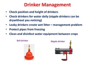 Drinker Management
• Check position and height of drinkers
• Check drinkers for water daily (nipple drinkers can be
drywithout you noticing)
• Leaky drinkers create wet litter – management problem
• Protect pipes from freezing
• Clean and disinfect water equipment between crops
Bell drinker Nipple drinker
 