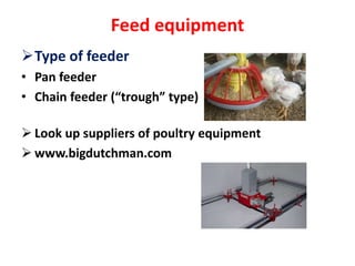 Feed equipment
Type of feeder
• Pan feeder
• Chain feeder (“trough” type)
 Look up suppliers of poultry equipment
 www.bigdutchman.com
 