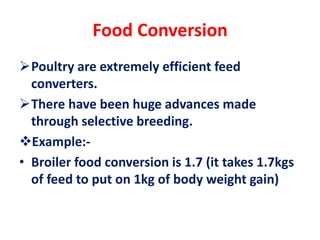 Food Conversion
Poultry are extremely efficient feed
converters.
There have been huge advances made
through selective breeding.
Example:-
• Broiler food conversion is 1.7 (it takes 1.7kgs
of feed to put on 1kg of body weight gain)
 