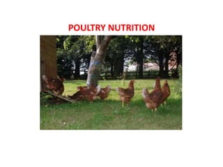 POULTRY NUTRITION
 