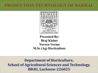 Department of Horticulture,
School of Agricultural Sciences and Technology,
BBAU, Lucknow-226025
Presented By:
Braj Kishor
Naveen Verma
M.Sc (Ag) Horticulture
PRODUCTION TECHNOLOGY OF BARHAL
 