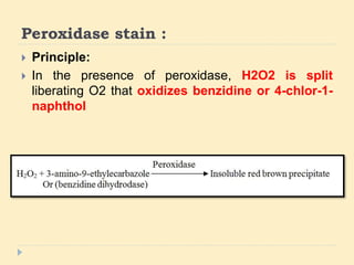 Staining H2o2 Special stains in Bone marrow examination | PPTX