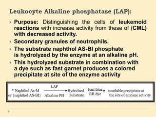 Special stains in Bone marrow examination | PPTX