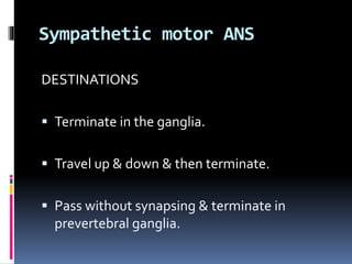 Autonomic Nervous System (ANS) - Anatomy and Physiology | PPTX