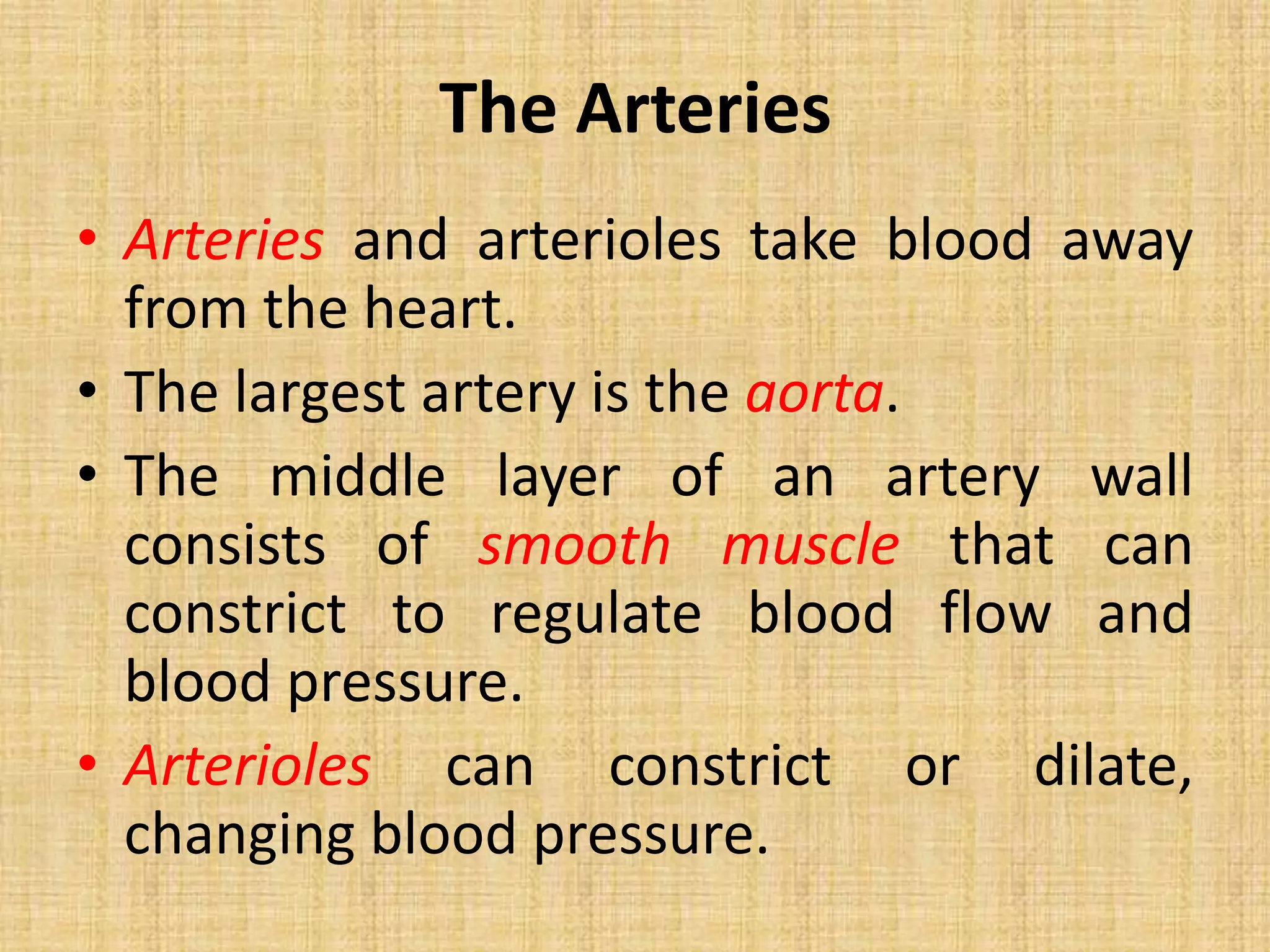 The Arteries
• Arteries and arterioles take blood away
from the heart.
• The largest artery is the aorta.
• The middle layer of an artery wall
consists of smooth muscle that can
constrict to regulate blood flow and
blood pressure.
• Arterioles can constrict or dilate,
changing blood pressure.
 