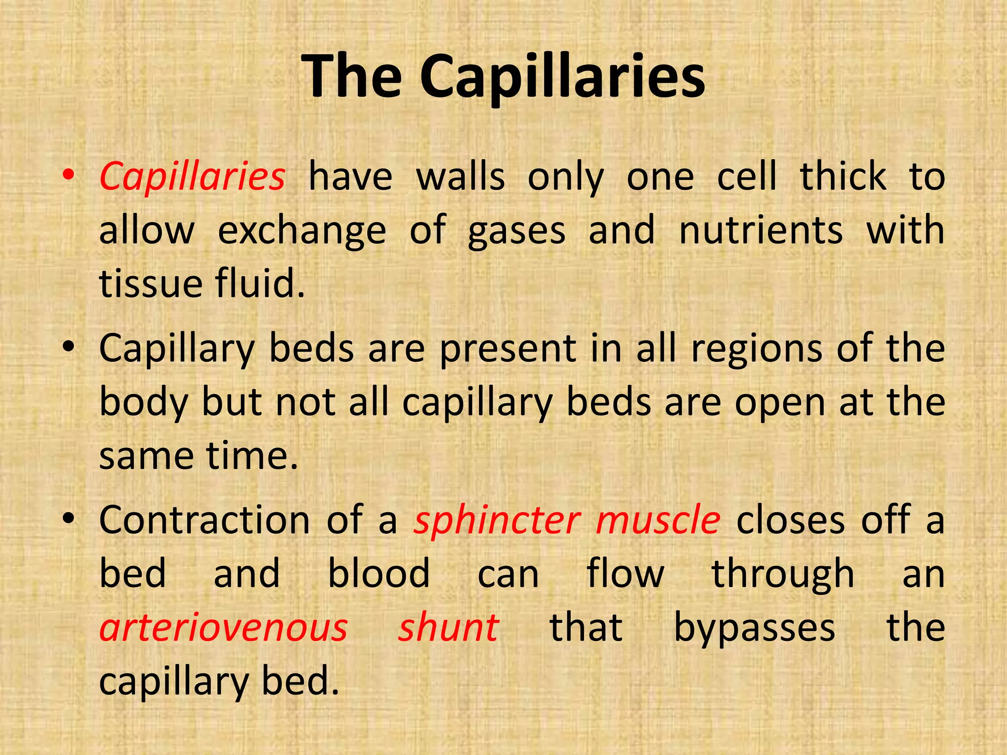 The Capillaries
• Capillaries have walls only one cell thick to
allow exchange of gases and nutrients with
tissue fluid.
• Capillary beds are present in all regions of the
body but not all capillary beds are open at the
same time.
• Contraction of a sphincter muscle closes off a
bed and blood can flow through an
arteriovenous shunt that bypasses the
capillary bed.
 