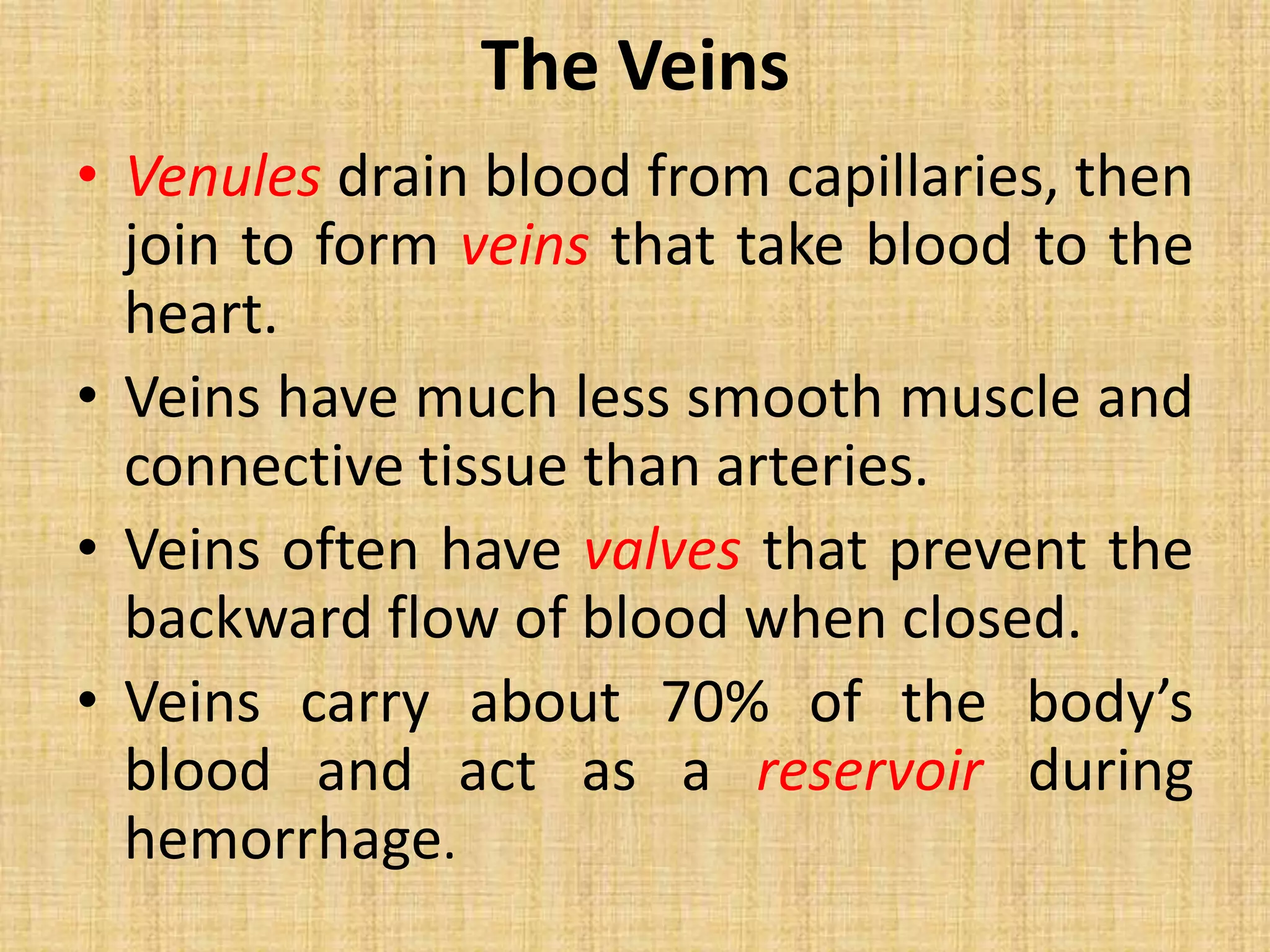 The Veins
• Venules drain blood from capillaries, then
join to form veins that take blood to the
heart.
• Veins have much less smooth muscle and
connective tissue than arteries.
• Veins often have valves that prevent the
backward flow of blood when closed.
• Veins carry about 70% of the body’s
blood and act as a reservoir during
hemorrhage.
 