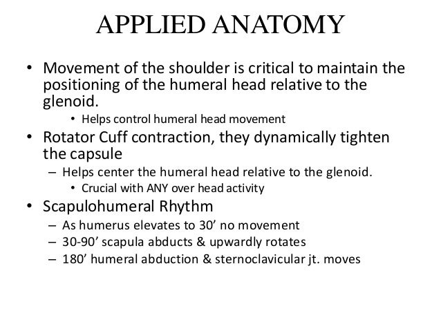 Applied Anatomy Of Shoulder Joint
