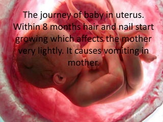 The journey of baby in uterus.
Within 8 months hair and nail start
growing which affects the mother
very lightly. It causes vomiting in
mother.
 