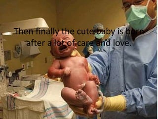 Then finally the cute baby is born
after a lot of care and love.
 