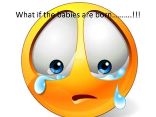 What if the babies are born……….!!!
 