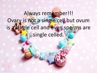 Always remember!!!
Ovary is not a single cell but ovum
is a single cell and even sperms are
single celled.
 