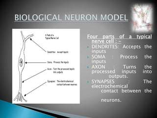 Four parts of a typical
nerve cell : -
 DENDRITES: Accepts the
inputs
 SOMA : Process the
inputs
 AXON : Turns the
processed inputs into
outputs.
 SYNAPSES : The
electrochemical
contact between the
neurons.
 