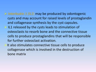  Interleukin 1 (IL1) may be produced by odontogenic
cysts and may account for raised levels of prostaglandin
and collagenase synthesis by the cyst capsules.
 IL1 released by the cysts leads to stimulation of
osteoclasts to resorb bone and the connective tissue
cells to produce prostaglandins that will be responsible
for further osteoclast activation.
It also stimulates connective tissue cells to produce
collagenase which is involved in the destruction of
bone matrix
 