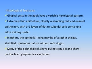 Histological features
Gingival cysts in the adult have a variable histological pattern.
Extremely thin epithelium, closely resembling reduced enamel
epithelium, with 1–3 layers of flat to cuboidal cells containing
arkly staining nuclei.
In others, the epithelial lining may be of a rather thicker,
stratified, squamous nature without rete ridges.
Many of the epithelial cells have pyknotic nuclei and show
perinuclear cytoplasmic vacuolation.
 