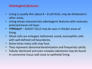 • Lining is usually thin about 6 – 8 cell thick, may be thickened in
other areas.
• Lining shows characteristic odontogenic features with reversely
polarized basal cell layer.
• TYPICALLY – GHOST CELLS may be seen in thicker areas of
lining.
• Ghost cells are enlarged, ballooned, ovoid, eosinophilic cells
with well defined cell boundaries.
• Some times many cells may fuse.
• They represent abnormal keratinization and frequently calcify.
• Tubular dentinoid and even complex odontome may be found
in connective tissue wall close to epithelial lining.
Histological features
 